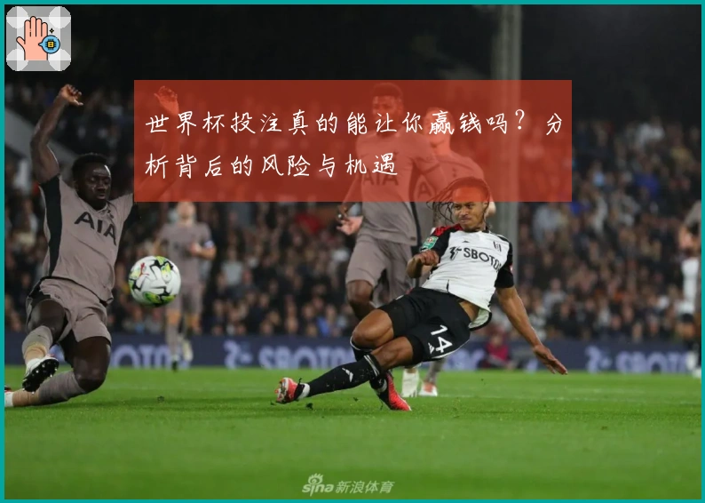 世界杯投注真的能让你赢钱吗？分析背后的风险与机遇